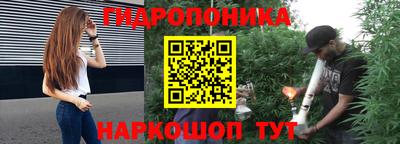 шишки Комсомольск-на-Амуре