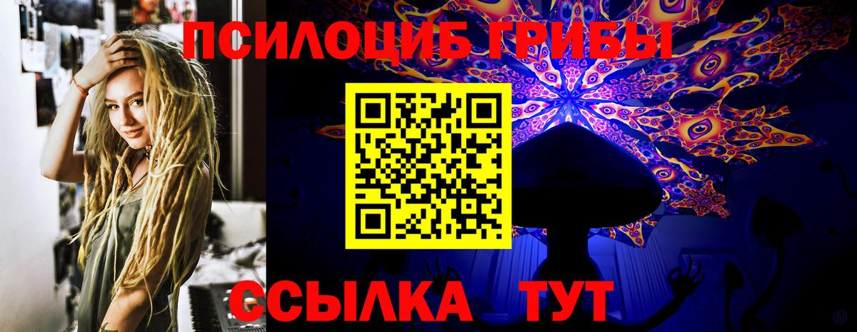 Псилоцибиновые грибы MAGIC MUSHROOMS  Вход с VPN  Керчь 